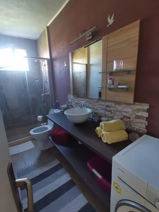 Apartment Zara Funtana Zewnętrze zdjęcie